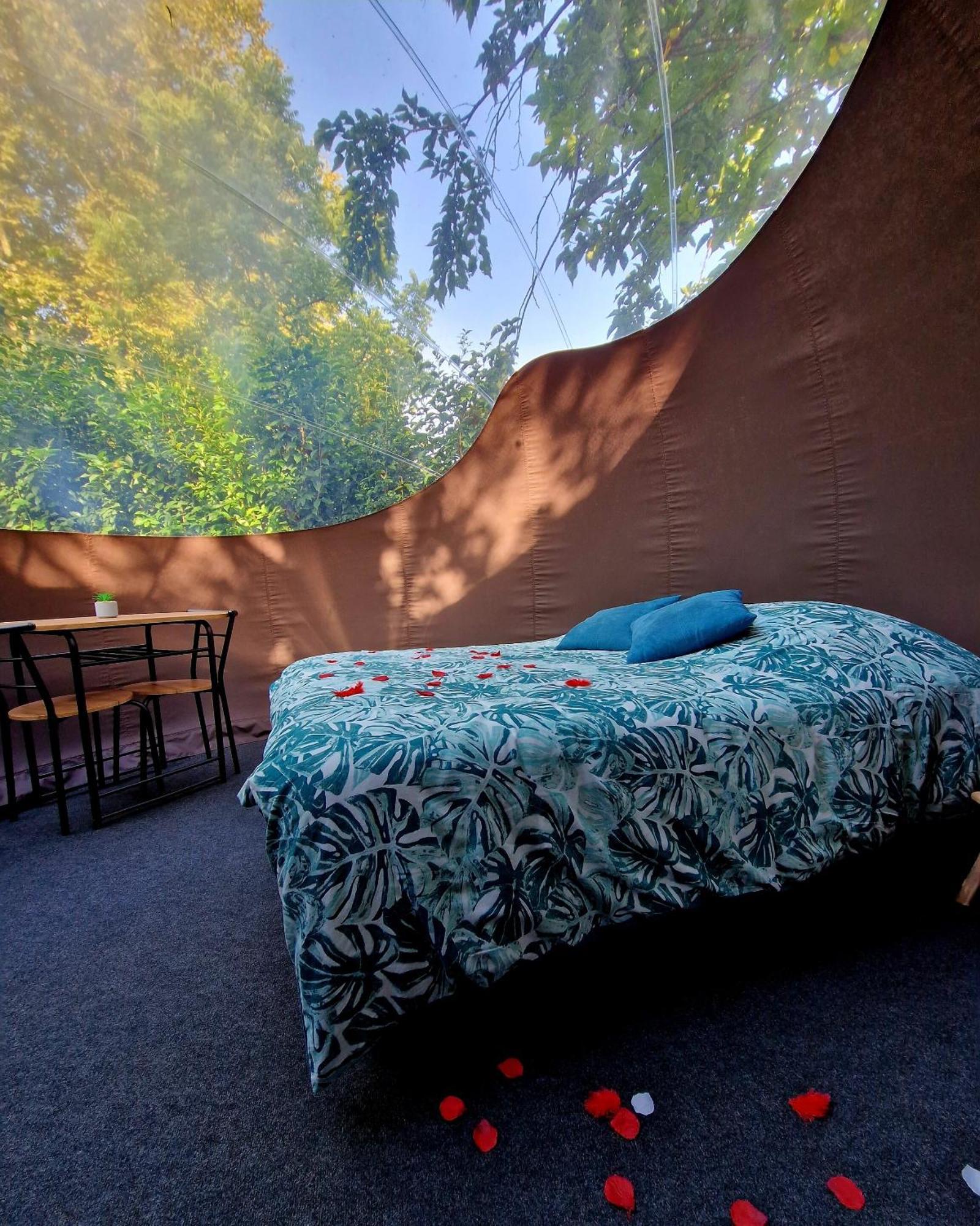 Les Nuits De Cassiopee Bed & Breakfast Sorde-l'Abbaye ห้อง รูปภาพ